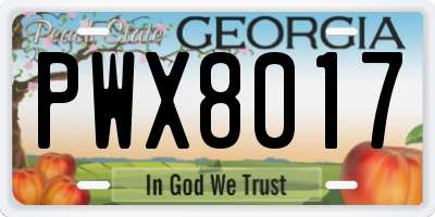 GA license plate PWX8017