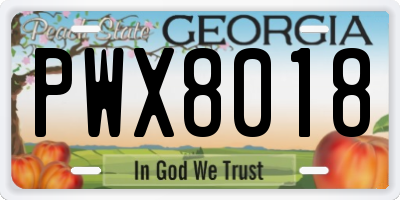 GA license plate PWX8018