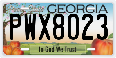 GA license plate PWX8023