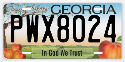 GA license plate PWX8024