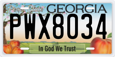 GA license plate PWX8034
