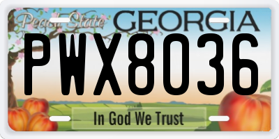 GA license plate PWX8036