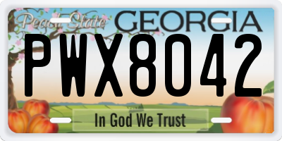 GA license plate PWX8042