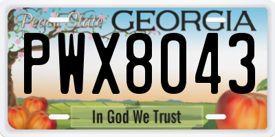 GA license plate PWX8043