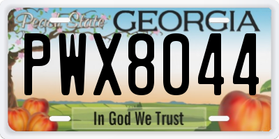 GA license plate PWX8044