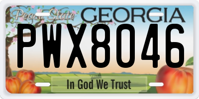 GA license plate PWX8046