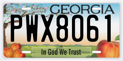 GA license plate PWX8061