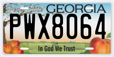 GA license plate PWX8064