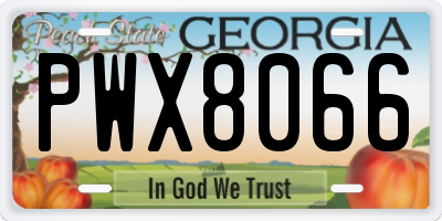 GA license plate PWX8066