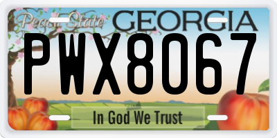 GA license plate PWX8067