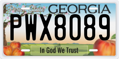 GA license plate PWX8089