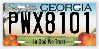 GA license plate PWX8101