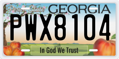 GA license plate PWX8104