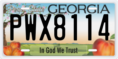 GA license plate PWX8114