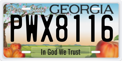 GA license plate PWX8116