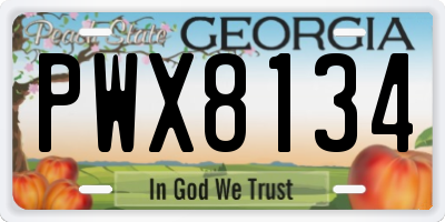 GA license plate PWX8134