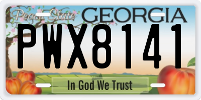 GA license plate PWX8141