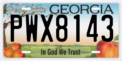 GA license plate PWX8143