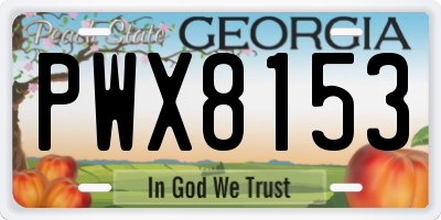 GA license plate PWX8153