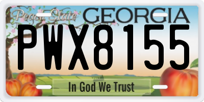 GA license plate PWX8155