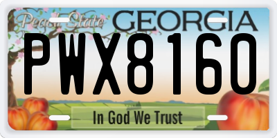 GA license plate PWX8160