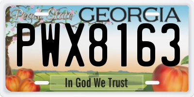 GA license plate PWX8163