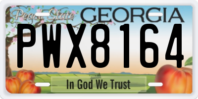 GA license plate PWX8164