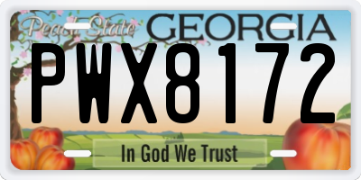 GA license plate PWX8172