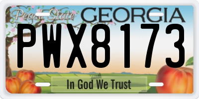 GA license plate PWX8173