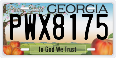 GA license plate PWX8175