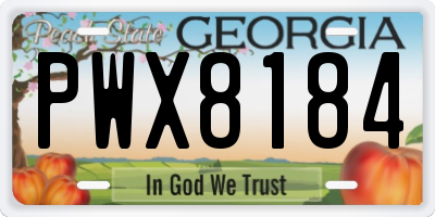 GA license plate PWX8184