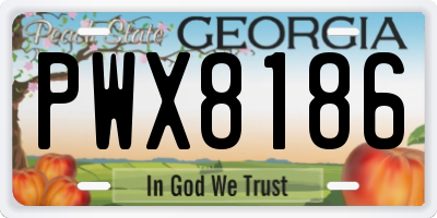 GA license plate PWX8186