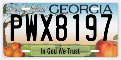 GA license plate PWX8197