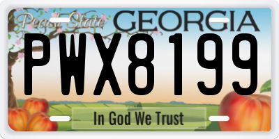 GA license plate PWX8199