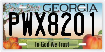GA license plate PWX8201