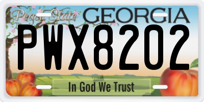 GA license plate PWX8202