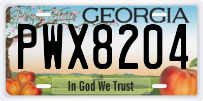 GA license plate PWX8204