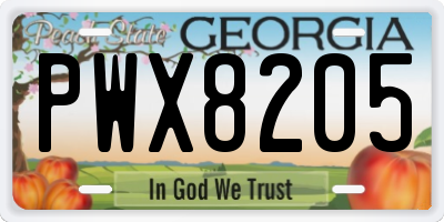 GA license plate PWX8205