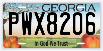 GA license plate PWX8206