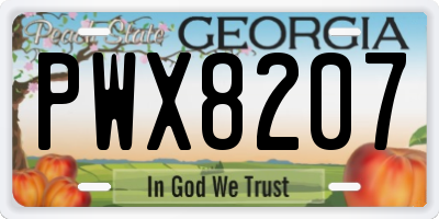 GA license plate PWX8207