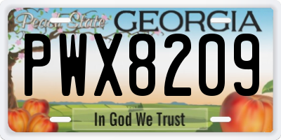 GA license plate PWX8209
