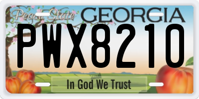 GA license plate PWX8210