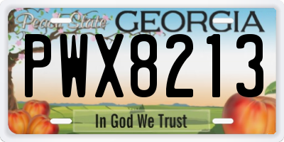 GA license plate PWX8213