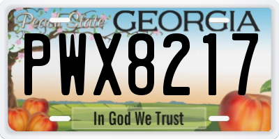 GA license plate PWX8217