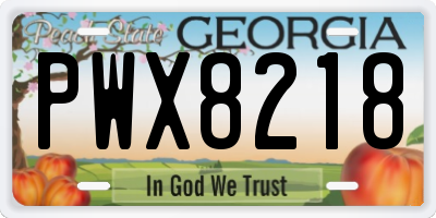 GA license plate PWX8218