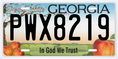 GA license plate PWX8219