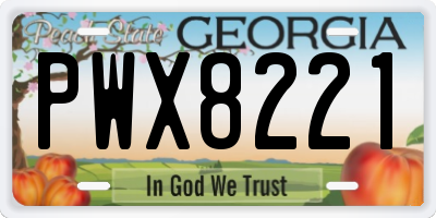 GA license plate PWX8221