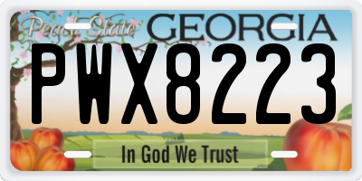 GA license plate PWX8223