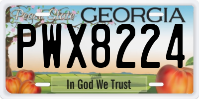 GA license plate PWX8224