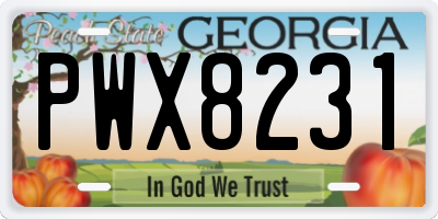 GA license plate PWX8231